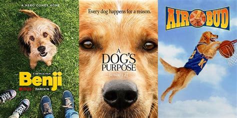 bestiality in movies|The Best Dog Movies of All Time .